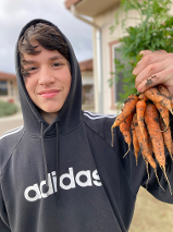 Middle school student with just picked carrots