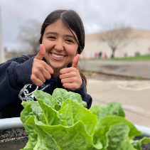 Middle school student growing lettuce